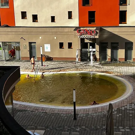 Friends - Free Pool Appartement Bešeňová